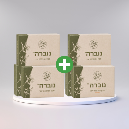 נוברה
