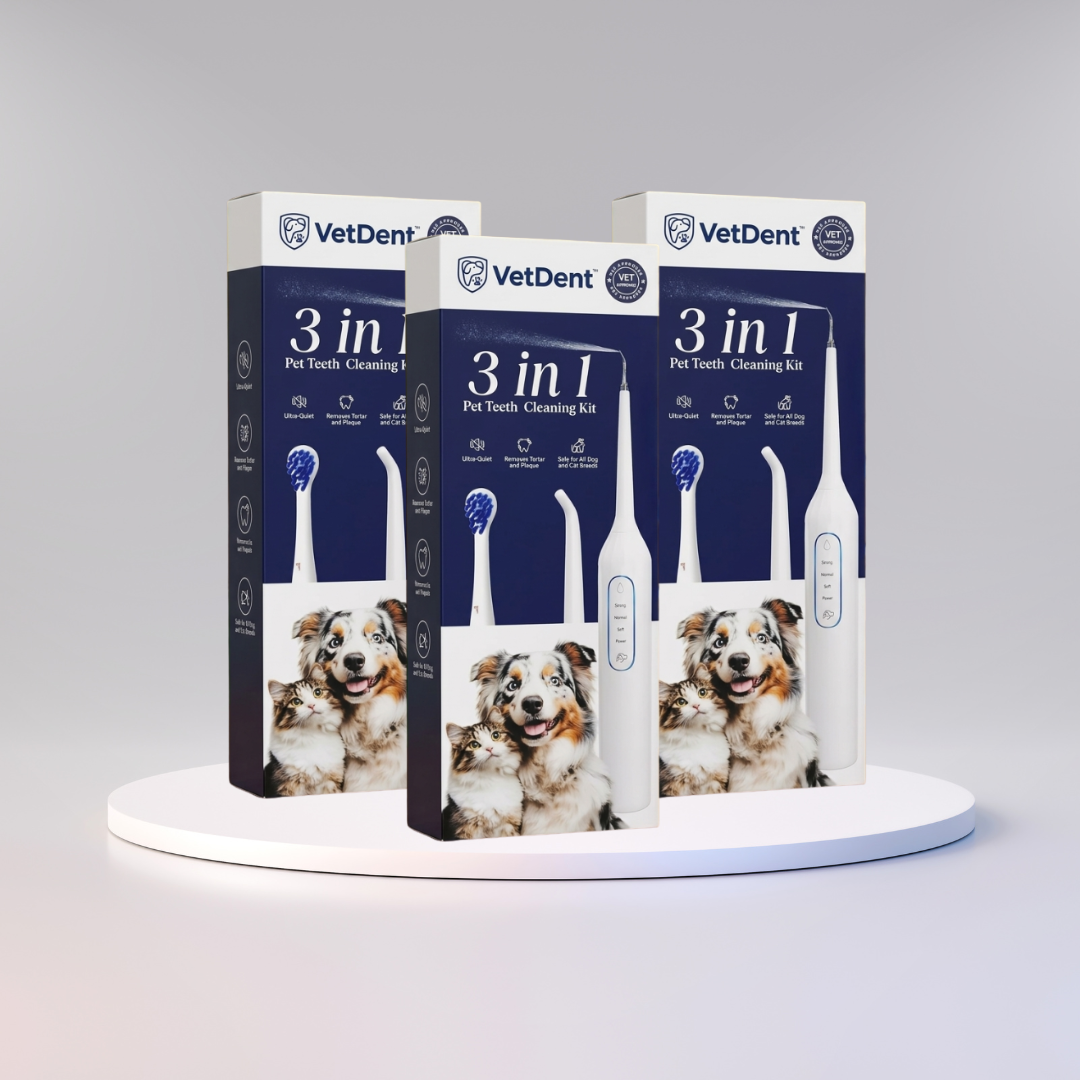 VetDent™