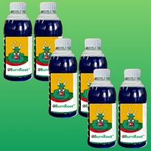 BurnRoot™ BE