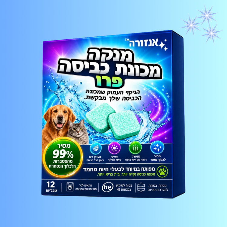 אנזורה