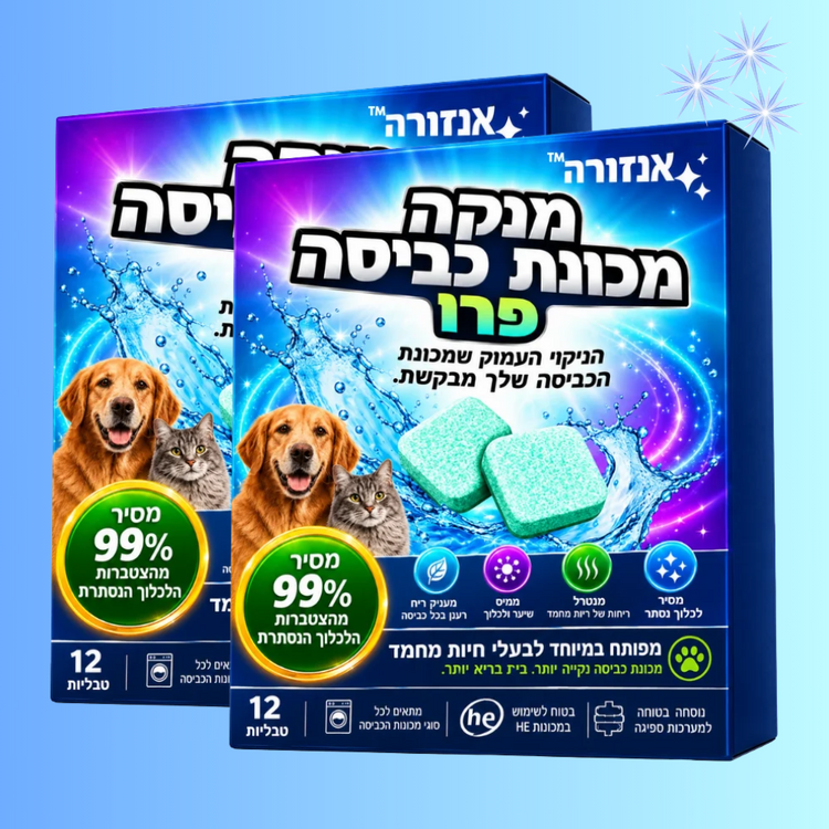 אנזורה