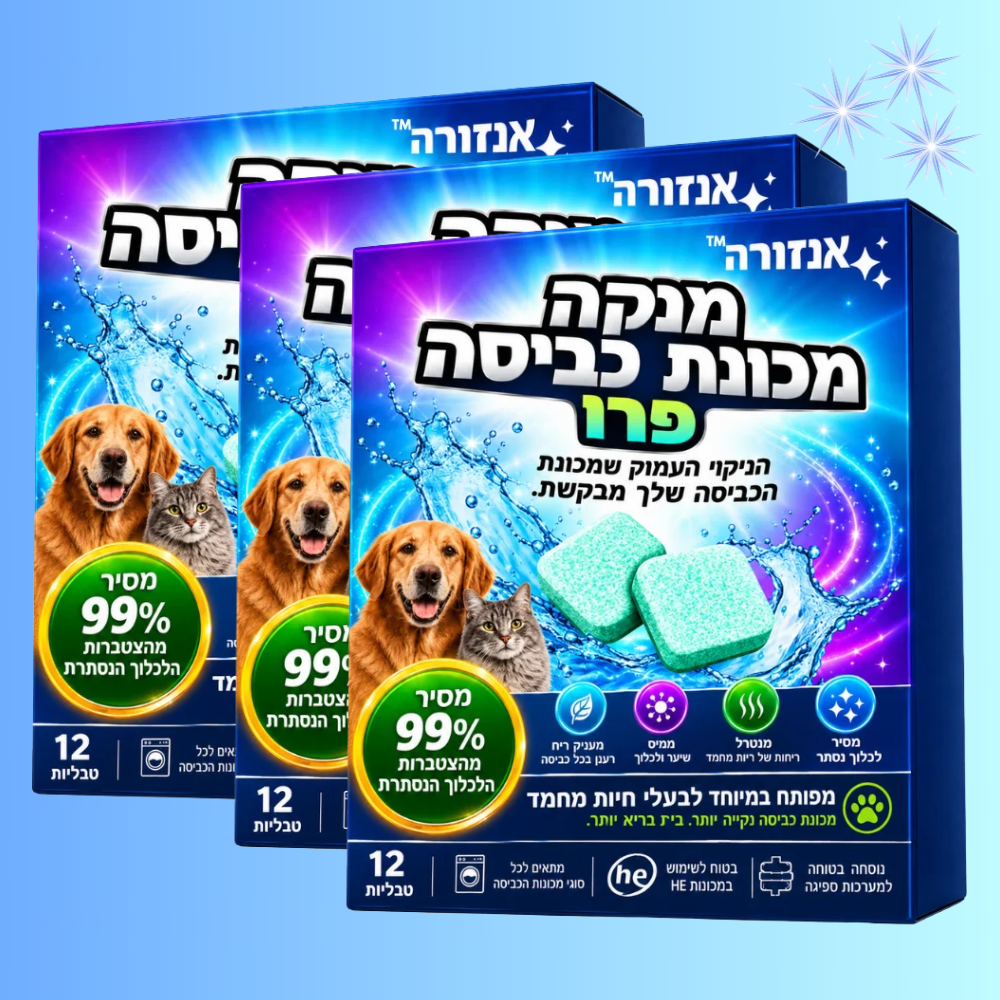 אנזורה